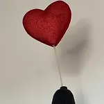 Inneapolis. Nel Cuore Della Citta